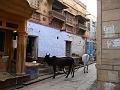 P1060042 - Rue de Jaisalmer